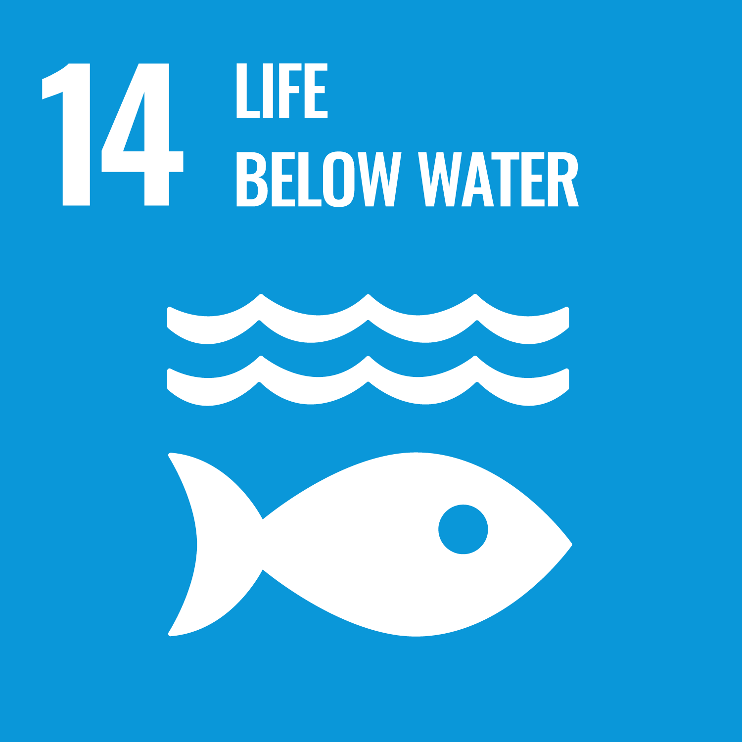 SDG Goal 14 icon